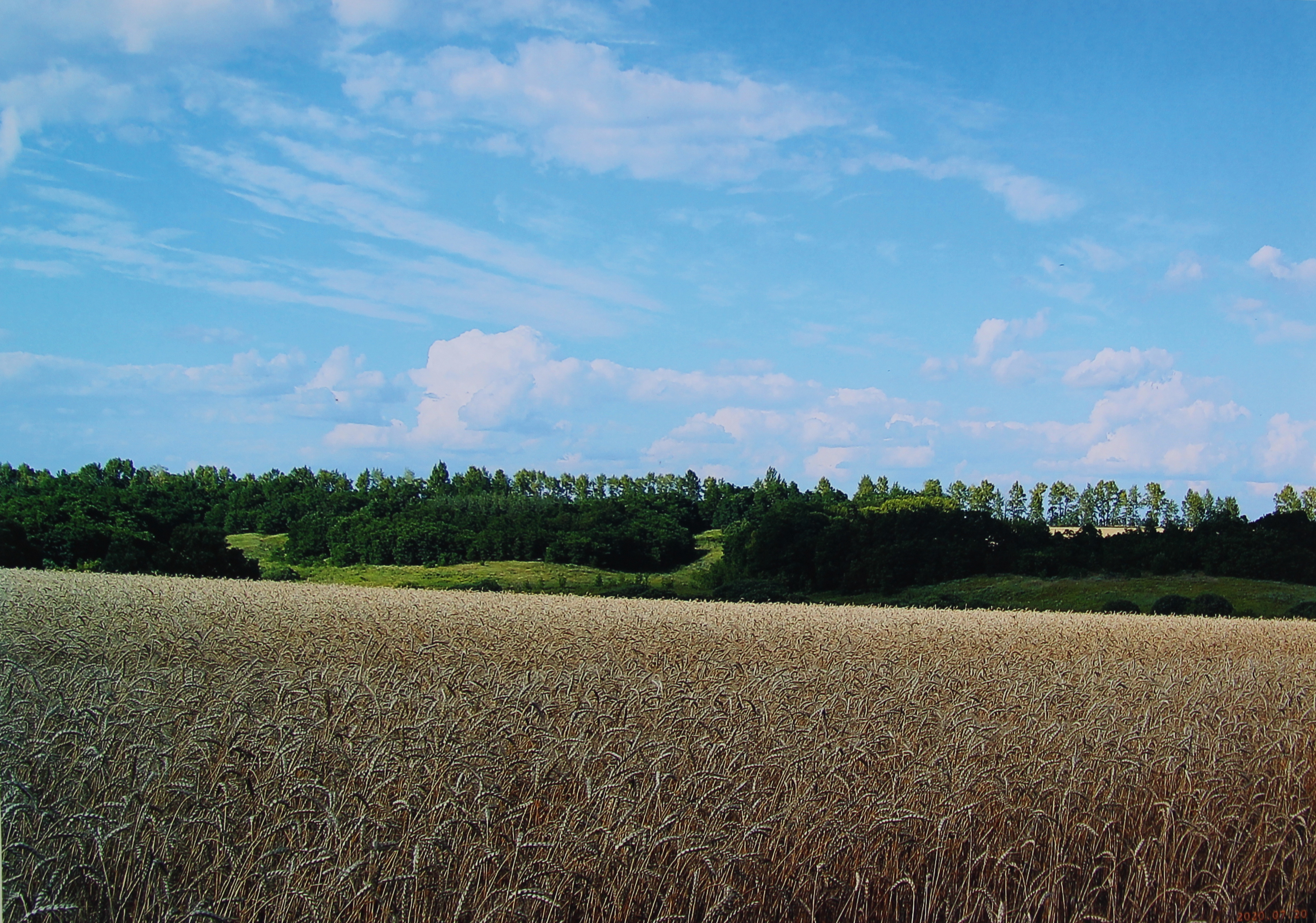 Областной конкурс для​ студентов профессиональных образовательный организаций "С верой по жизни"