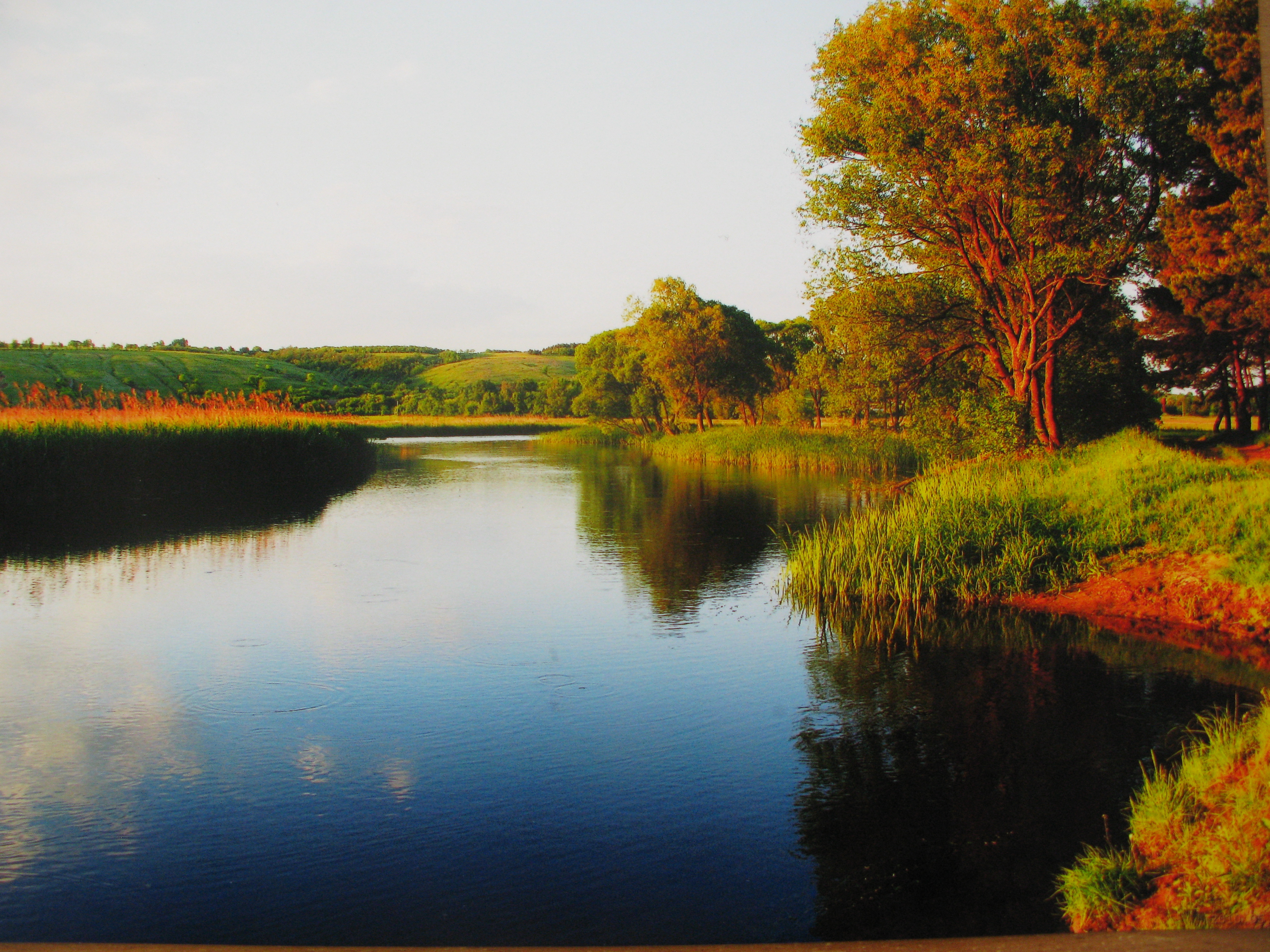 Областной конкурс для​ студентов профессиональных образовательный организаций "С верой по жизни"