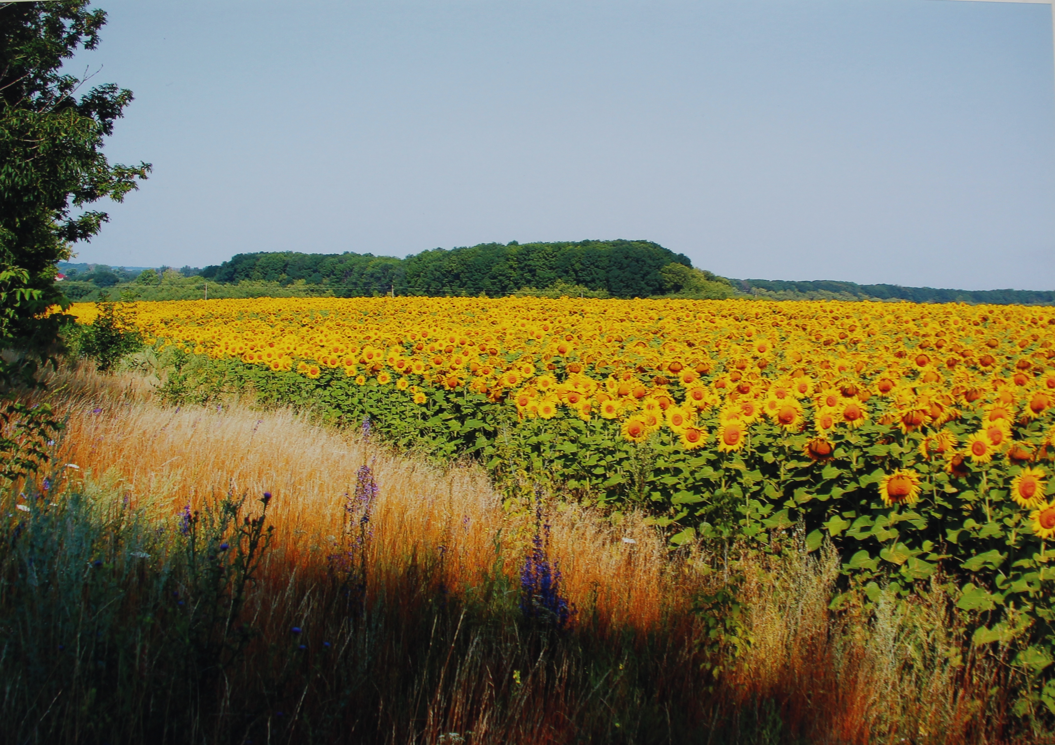 Областной конкурс для​ студентов профессиональных образовательный организаций "С верой по жизни"
