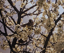 Областной конкурс для​ студентов профессиональных образовательный организаций "С верой по жизни"