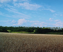 Областной конкурс для​ студентов профессиональных образовательный организаций "С верой по жизни"