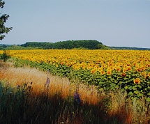 Областной конкурс для​ студентов профессиональных образовательный организаций "С верой по жизни"